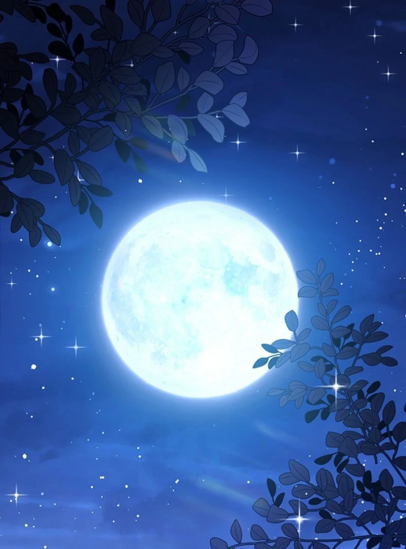 The Quiet Night You Disappeared Nowhere to Run from the Husband I Divorce Chapter 13 page 95 - 