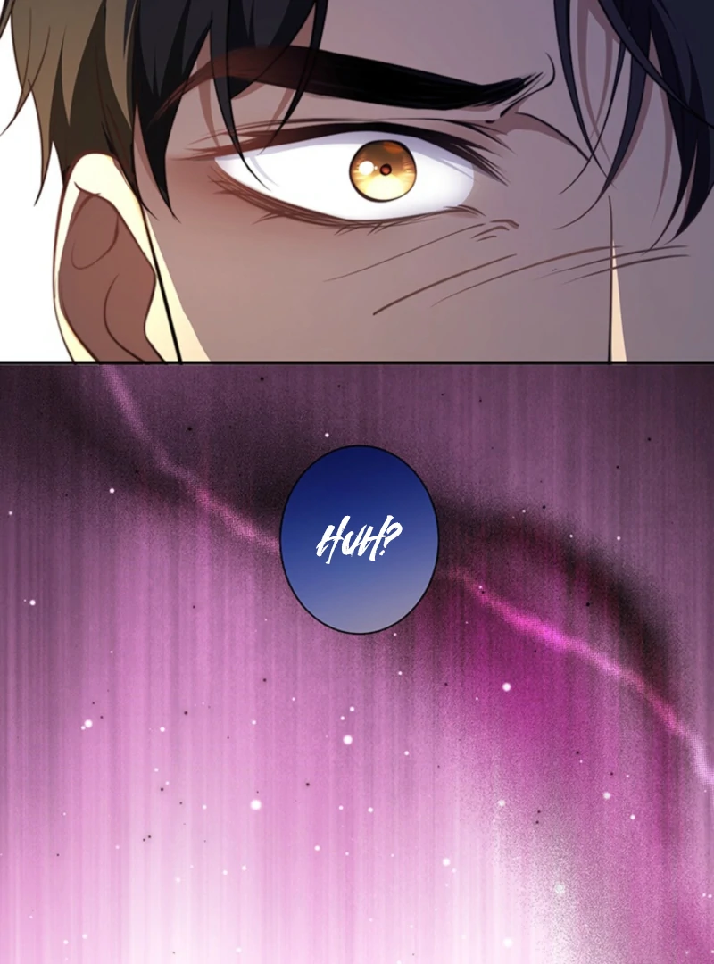 The Quiet Night You Disappeared Nowhere to Run from the Husband I Divorce Chapter 15 page 42 - 