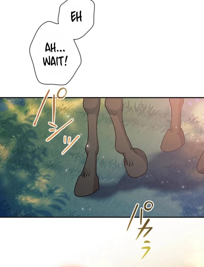 The Quiet Night You Disappeared Nowhere to Run from the Husband I Divorce Chapter 16 page 47 - 