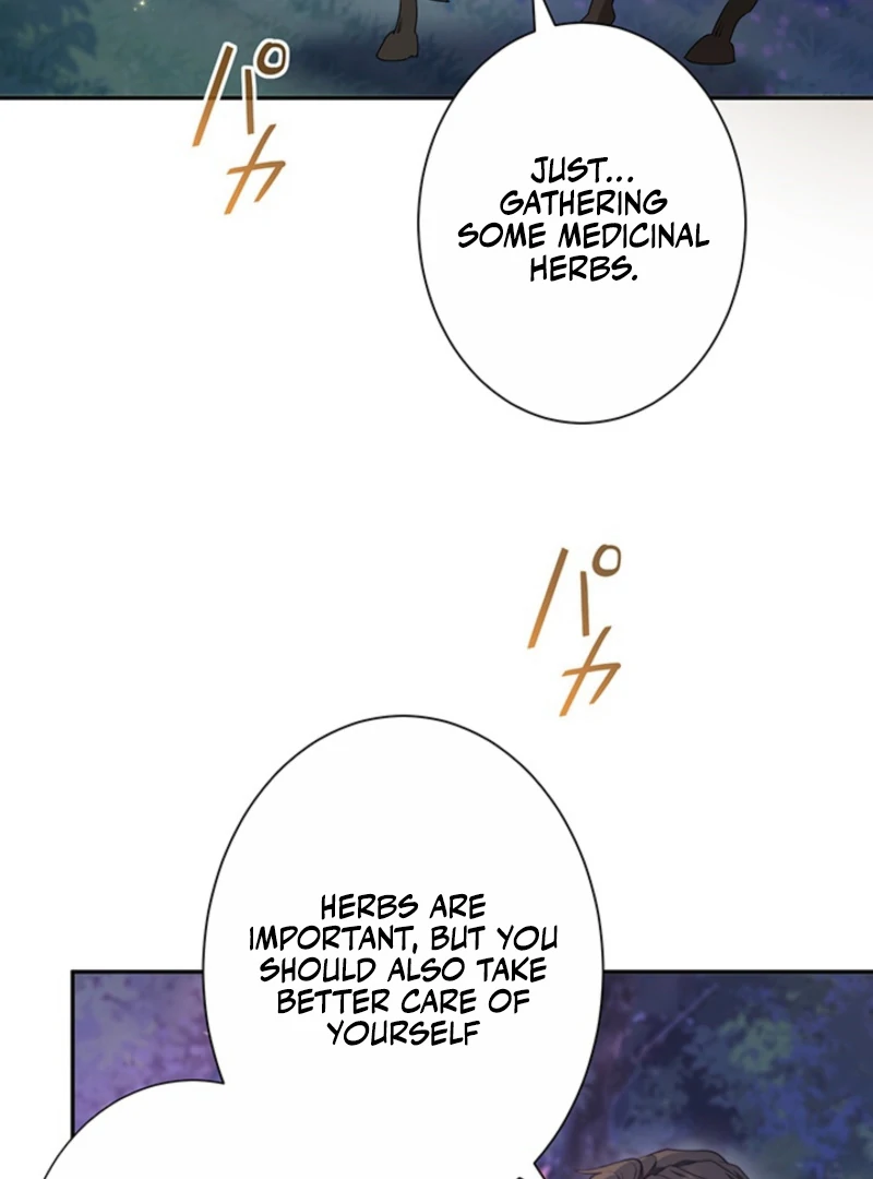 The Quiet Night You Disappeared Nowhere to Run from the Husband I Divorce Chapter 16 page 52 - 