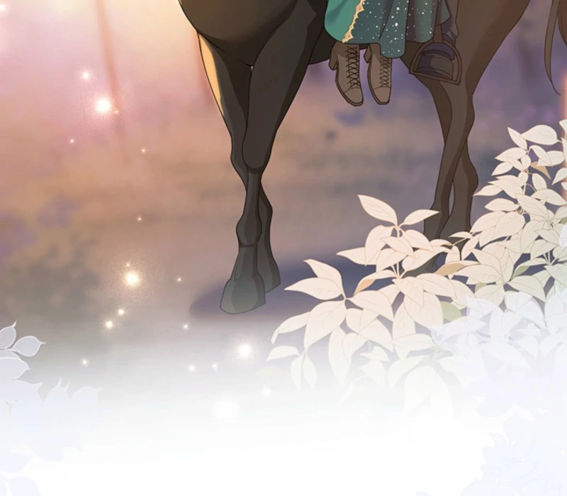 The Quiet Night You Disappeared Nowhere to Run from the Husband I Divorce Chapter 16 page 72 - 