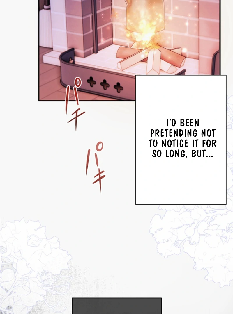 The Quiet Night You Disappeared Nowhere to Run from the Husband I Divorce Chapter 17 page 55 - 