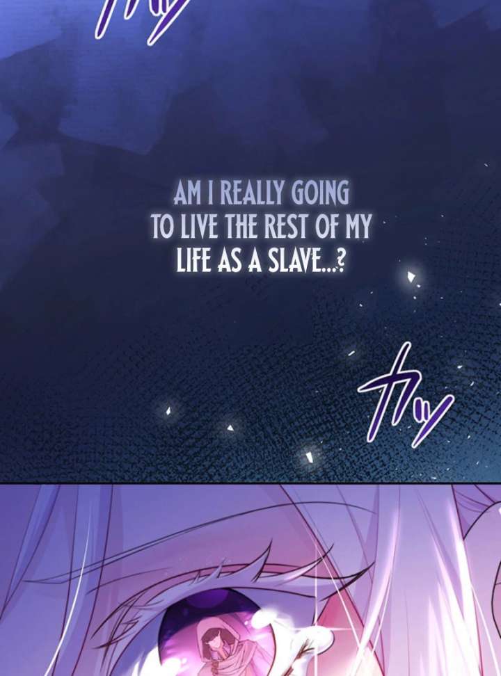 The Quiet Night You Disappeared Nowhere to Run from the Husband I Divorce Chapter 19 page 85 - 