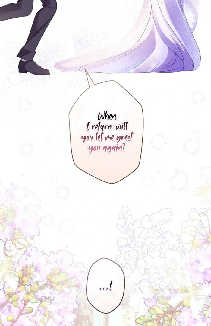 The Quiet Night You Disappeared Nowhere to Run from the Husband I Divorce Chapter 2 page 80 - 