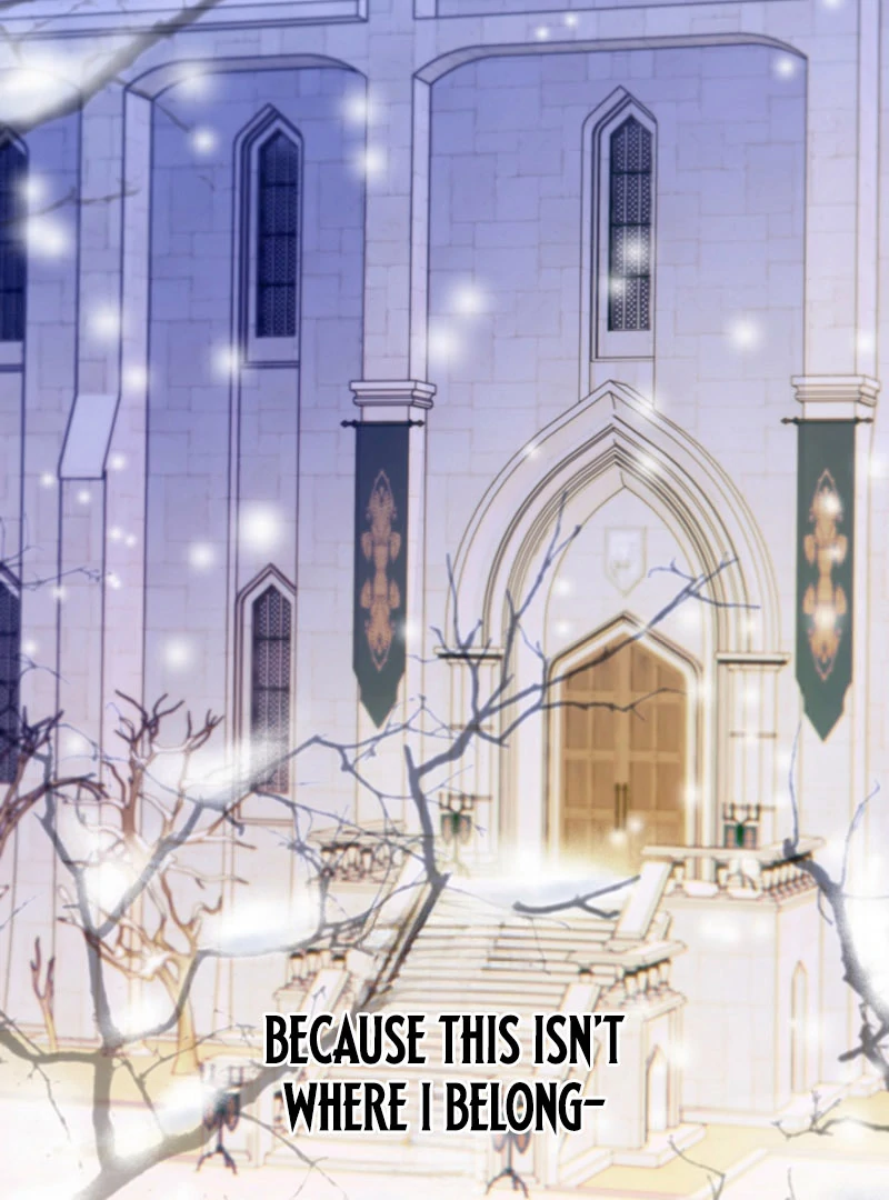 The Quiet Night You Disappeared Nowhere to Run from the Husband I Divorce Chapter 22 page 91 - 