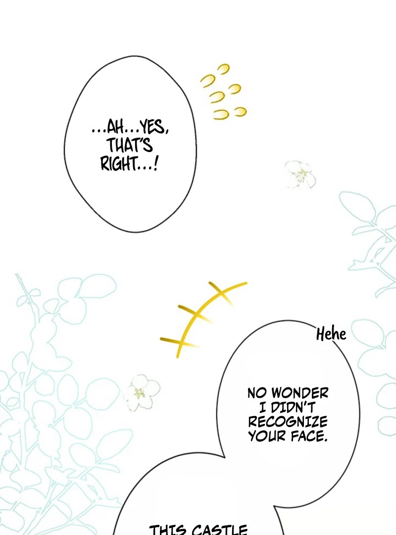 The Quiet Night You Disappeared Nowhere to Run from the Husband I Divorce Chapter 25 page 44 - 