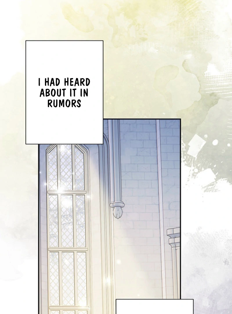 The Quiet Night You Disappeared Nowhere to Run from the Husband I Divorce Chapter 25 page 8 - 