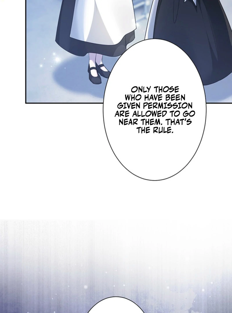 The Quiet Night You Disappeared Nowhere to Run from the Husband I Divorce Chapter 25 page 75 - 