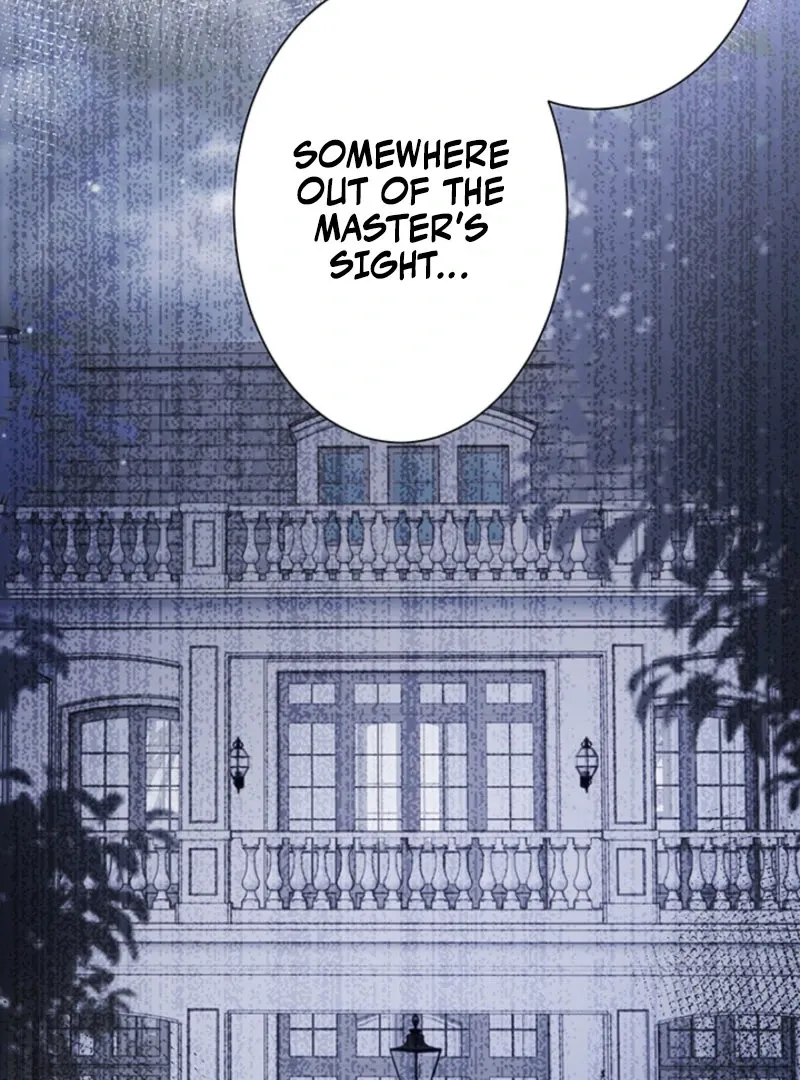 The Quiet Night You Disappeared Nowhere to Run from the Husband I Divorce Chapter 25 page 77 - 