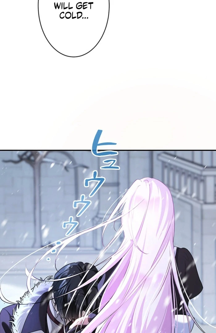 The Quiet Night You Disappeared Nowhere to Run from the Husband I Divorce Chapter 28 page 5 - 