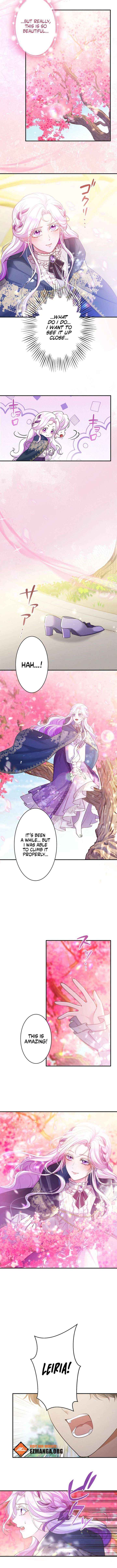 The Quiet Night You Disappeared Nowhere to Run from the Husband I Divorce Chapter 30 page 8 - 