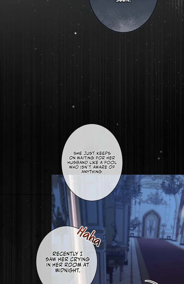 The Quiet Night You Disappeared Nowhere to Run from the Husband I Divorce Chapter 4 page 5 - 