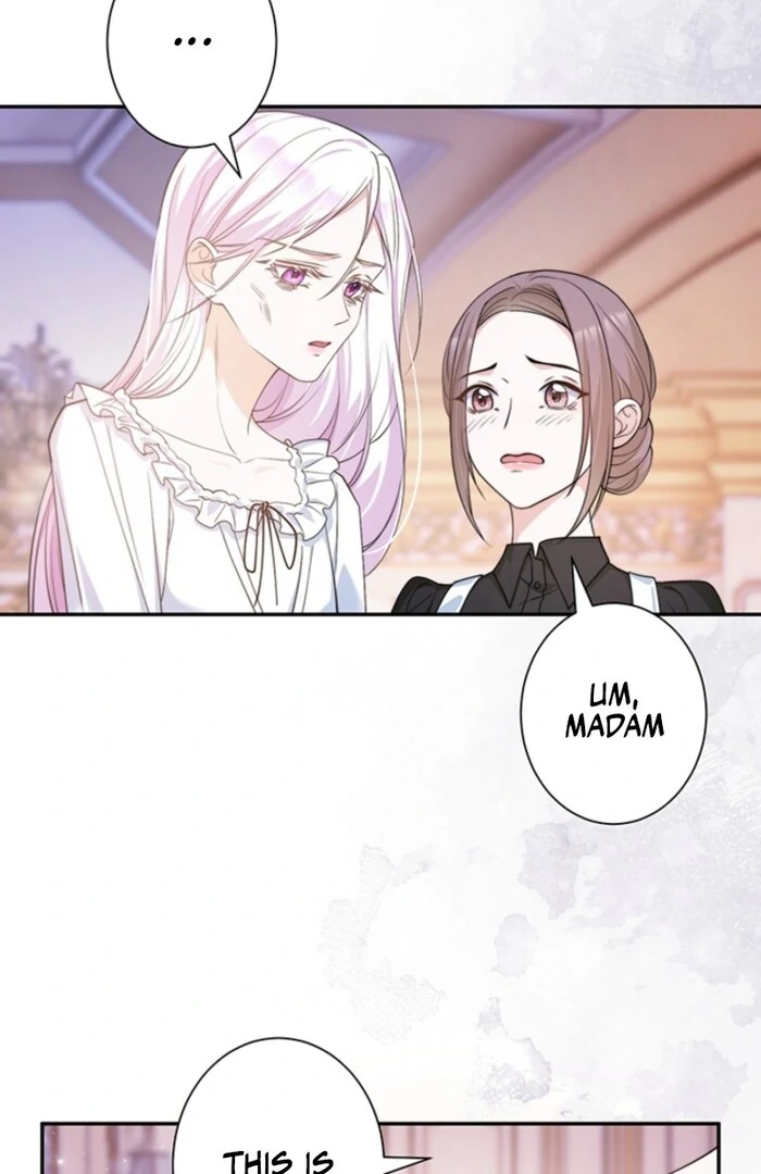 The Quiet Night You Disappeared Nowhere to Run from the Husband I Divorce Chapter 4 page 51 - 
