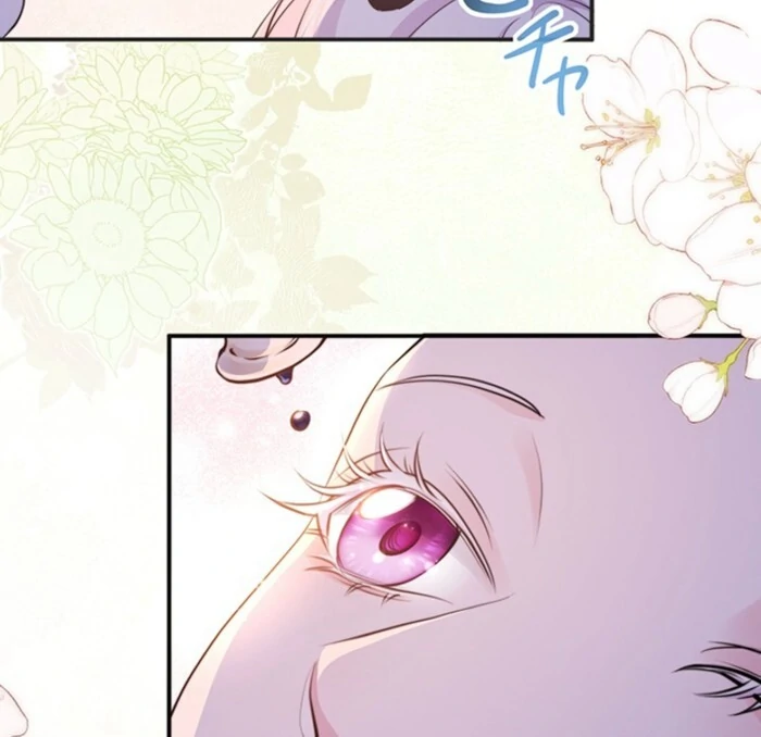 The Quiet Night You Disappeared Nowhere to Run from the Husband I Divorce Chapter 5 page 27 - 