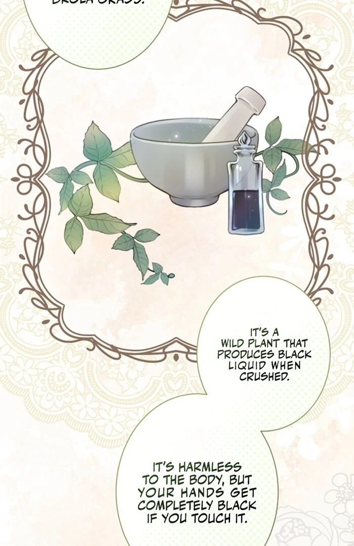 The Quiet Night You Disappeared Nowhere to Run from the Husband I Divorce Chapter 5 page 41 - 
