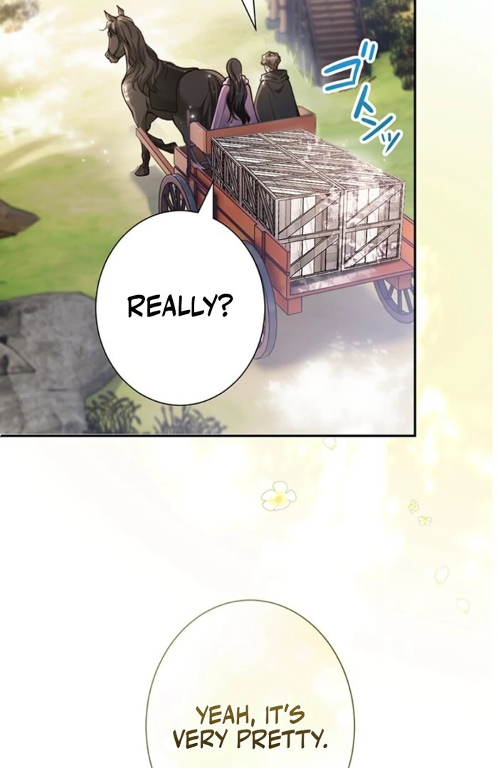 The Quiet Night You Disappeared Nowhere to Run from the Husband I Divorce Chapter 5 page 44 - 