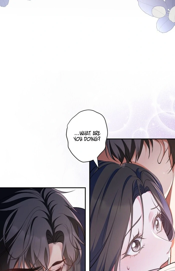 The Quiet Night You Disappeared Nowhere to Run from the Husband I Divorce Chapter 8 page 13 - 