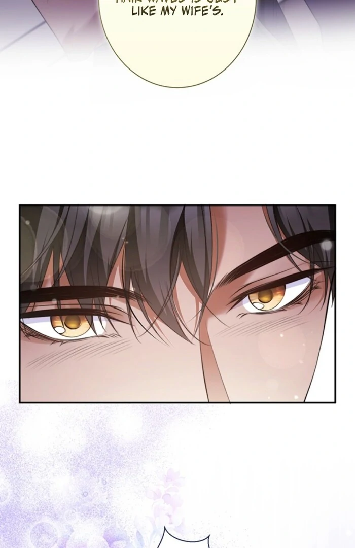 The Quiet Night You Disappeared Nowhere to Run from the Husband I Divorce Chapter 8 page 53 - 