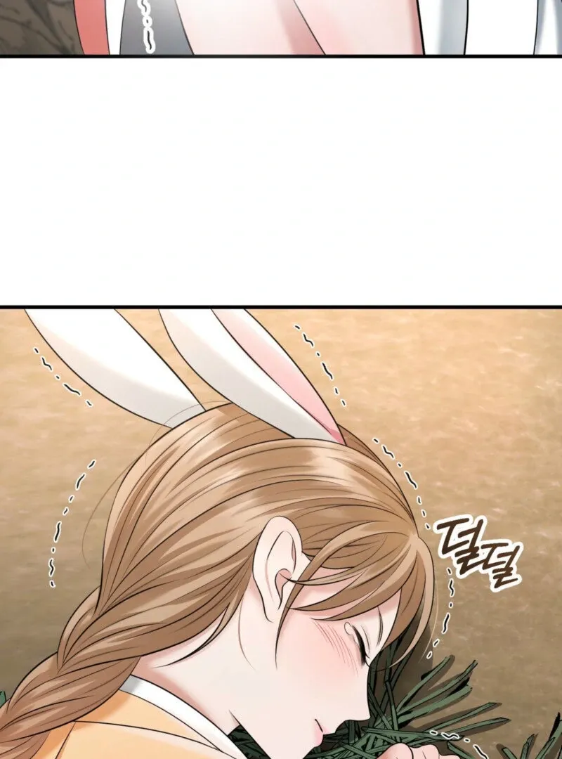 The Rabbit and The Serpent