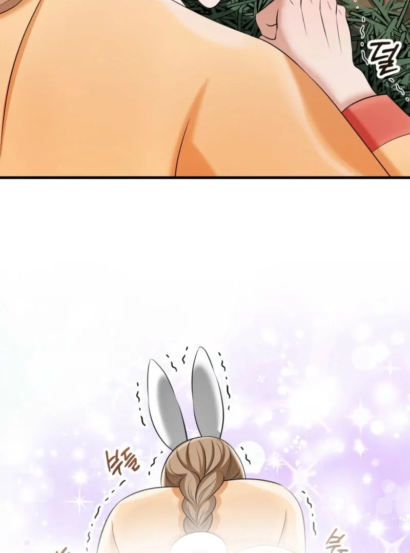 The Rabbit and The Serpent