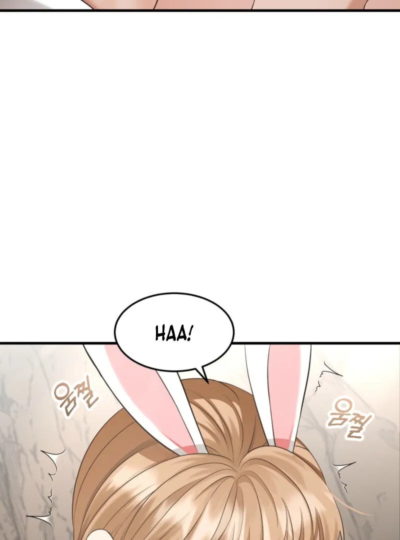 The Rabbit and The Serpent