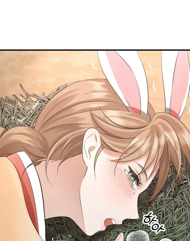 The Rabbit and The Serpent