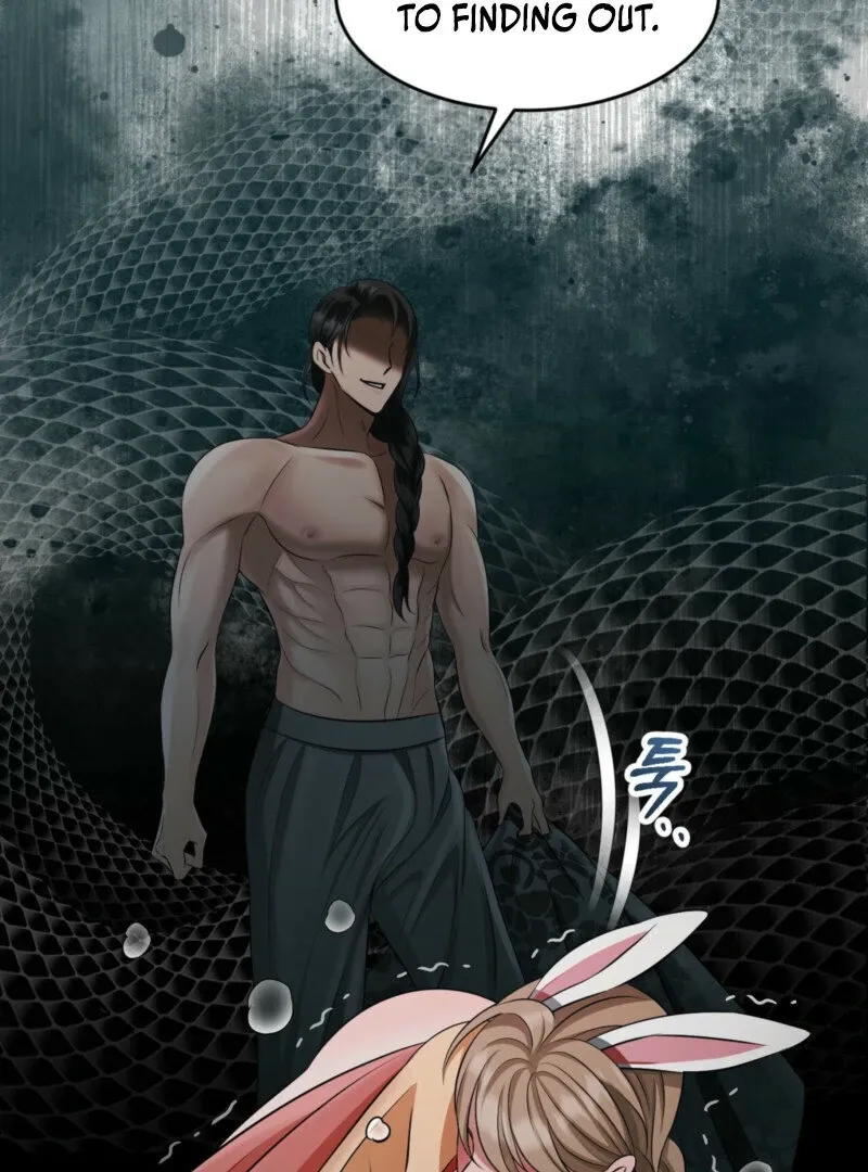 The Rabbit and The Serpent