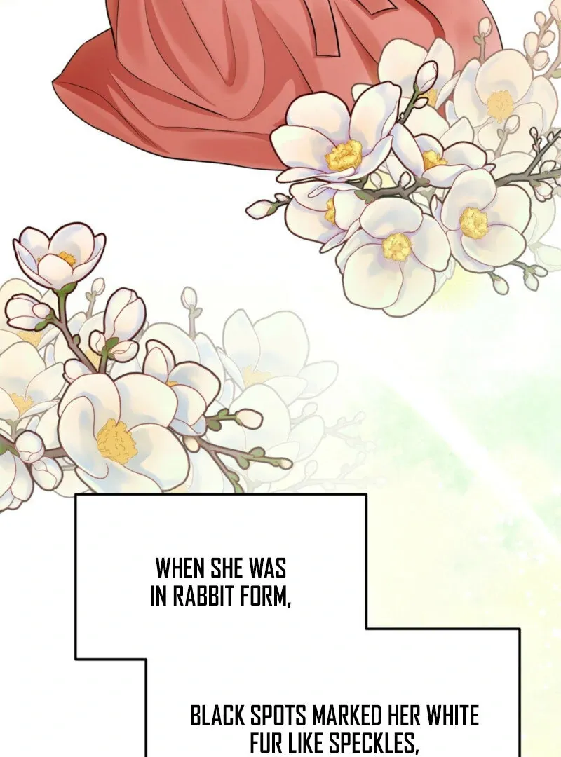 The Rabbit and The Serpent