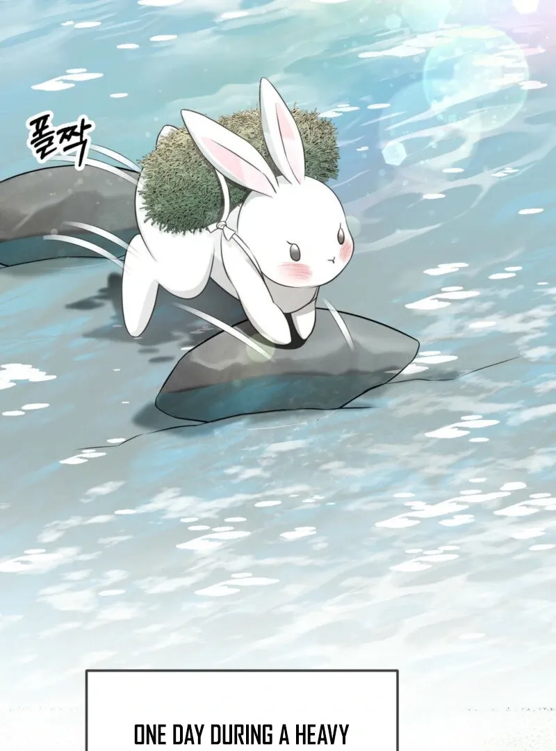The Rabbit and The Serpent