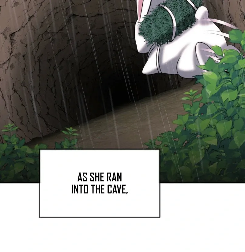 The Rabbit and The Serpent