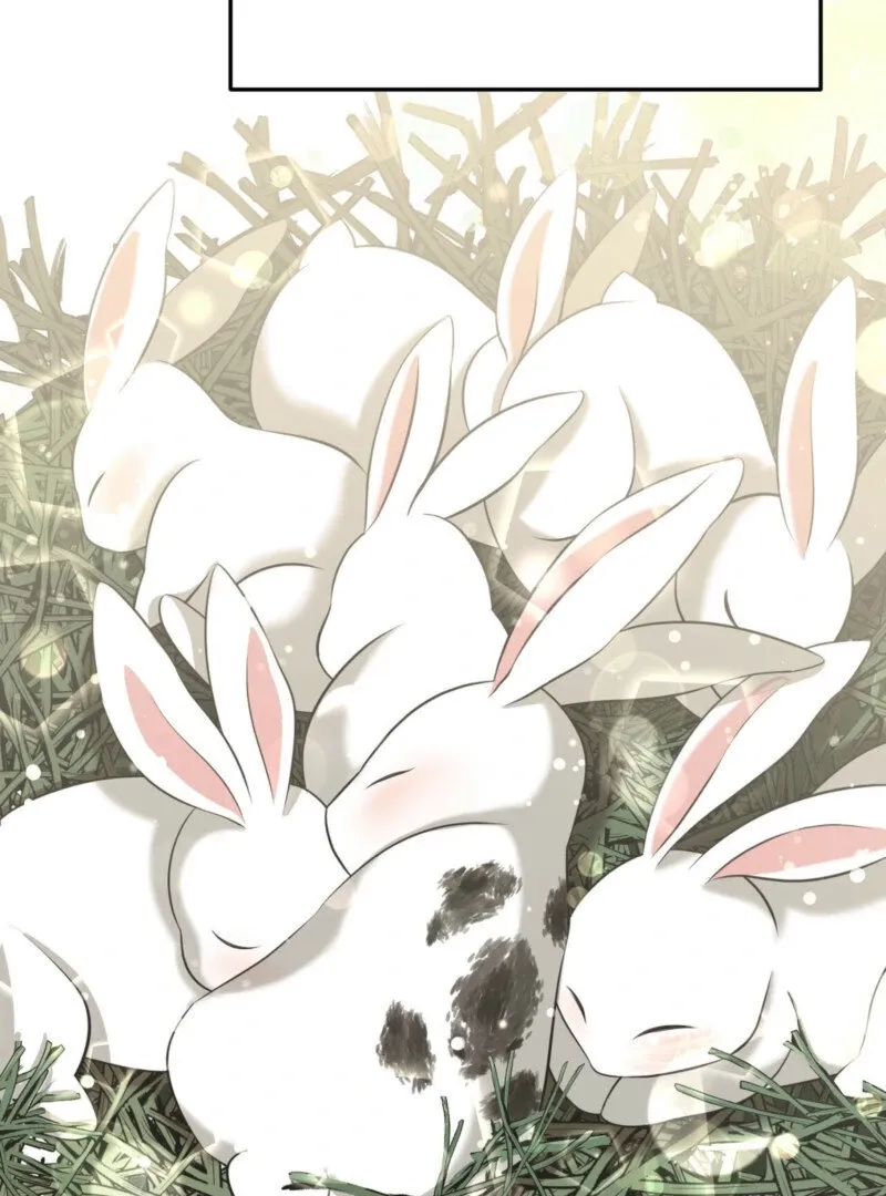 The Rabbit and The Serpent