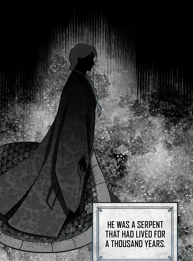 The Rabbit and The Serpent