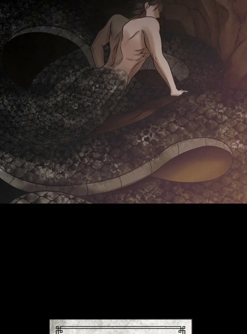 The Rabbit and The Serpent