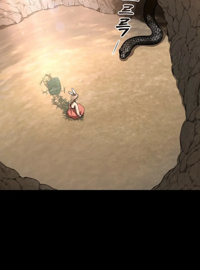 The Rabbit and The Serpent