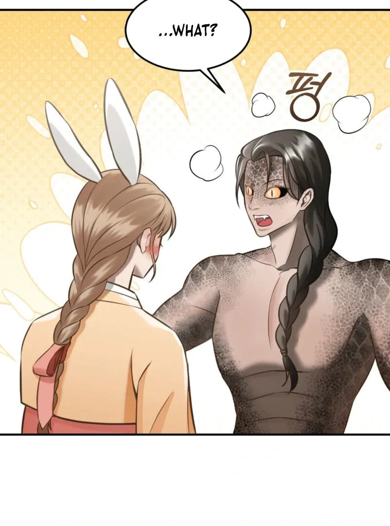 The Rabbit and The Serpent