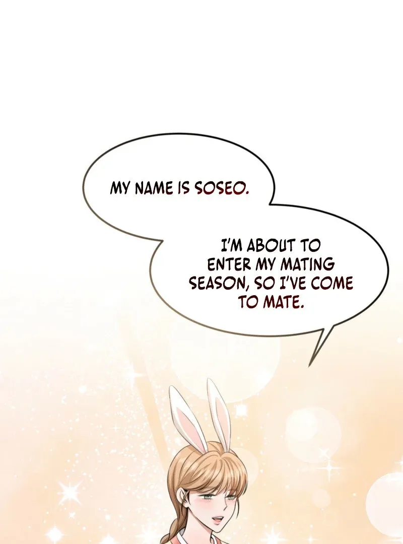 The Rabbit and The Serpent