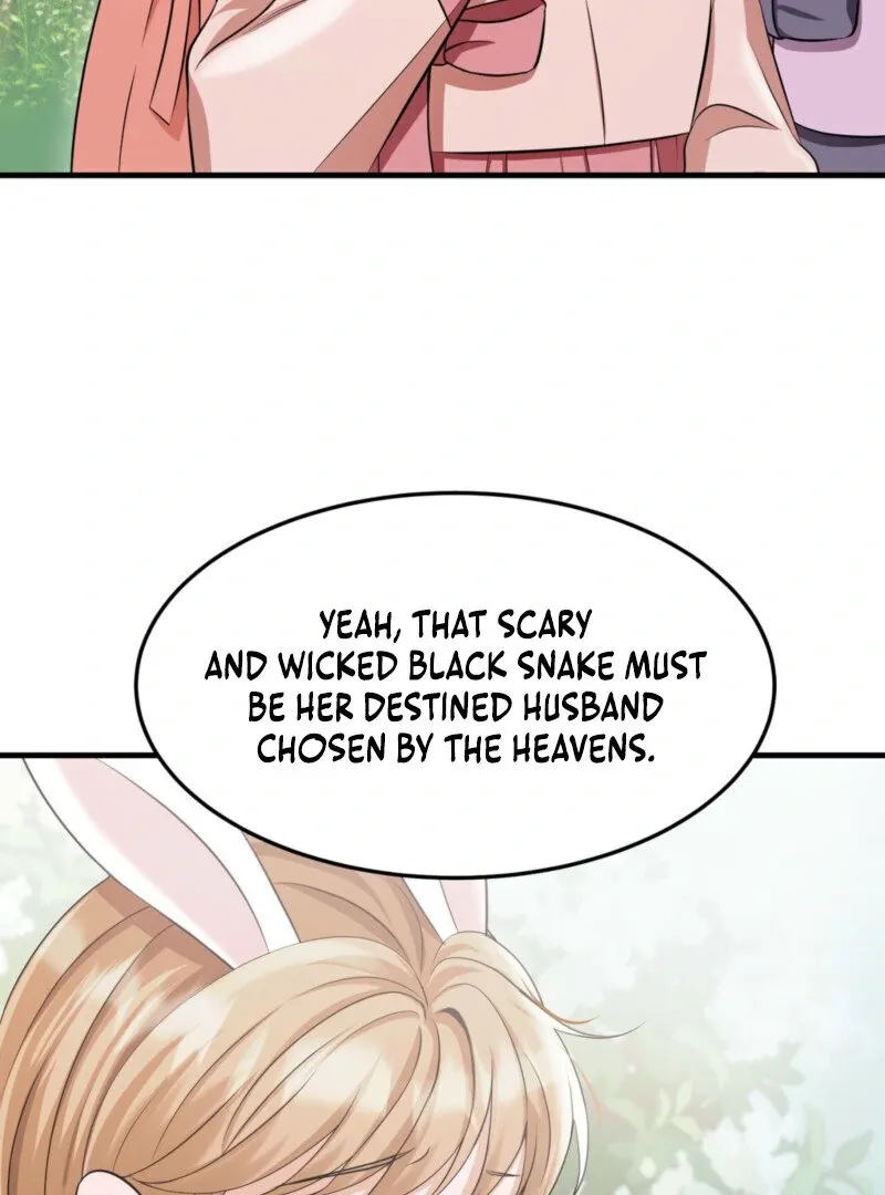 The Rabbit and The Serpent