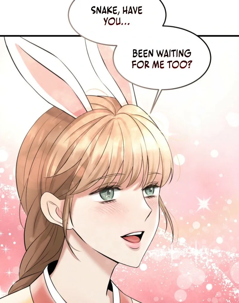 The Rabbit and The Serpent