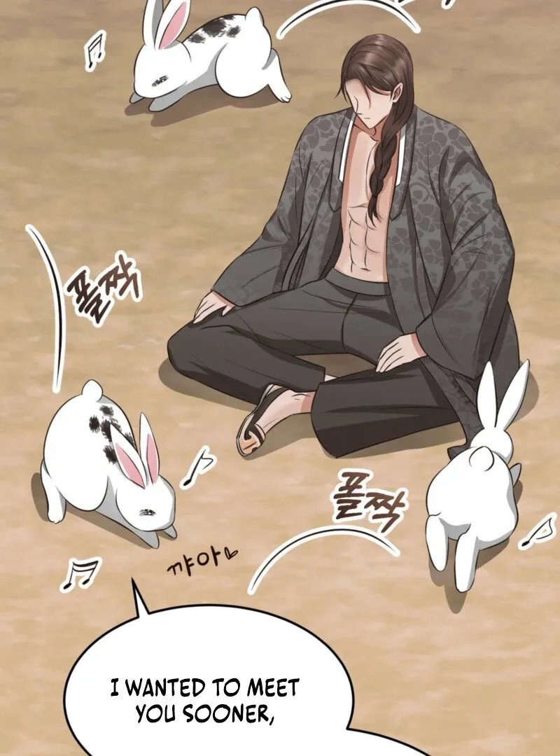 The Rabbit and The Serpent