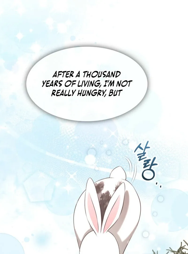 The Rabbit and The Serpent
