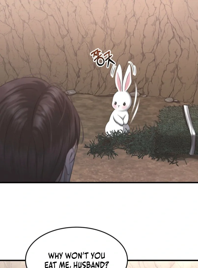 The Rabbit and The Serpent