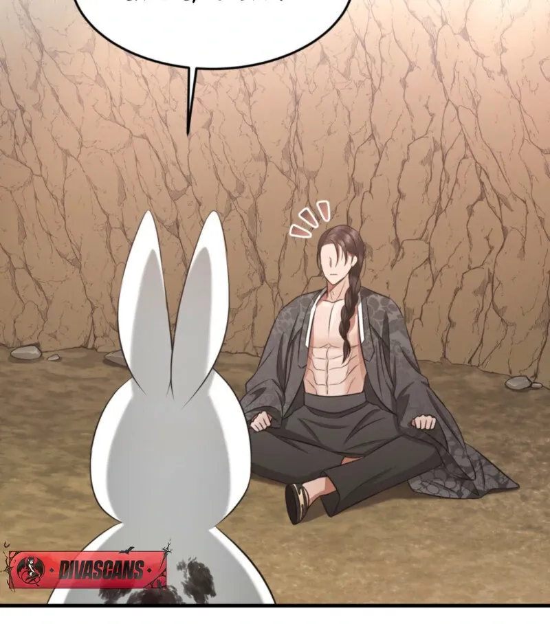 The Rabbit and The Serpent