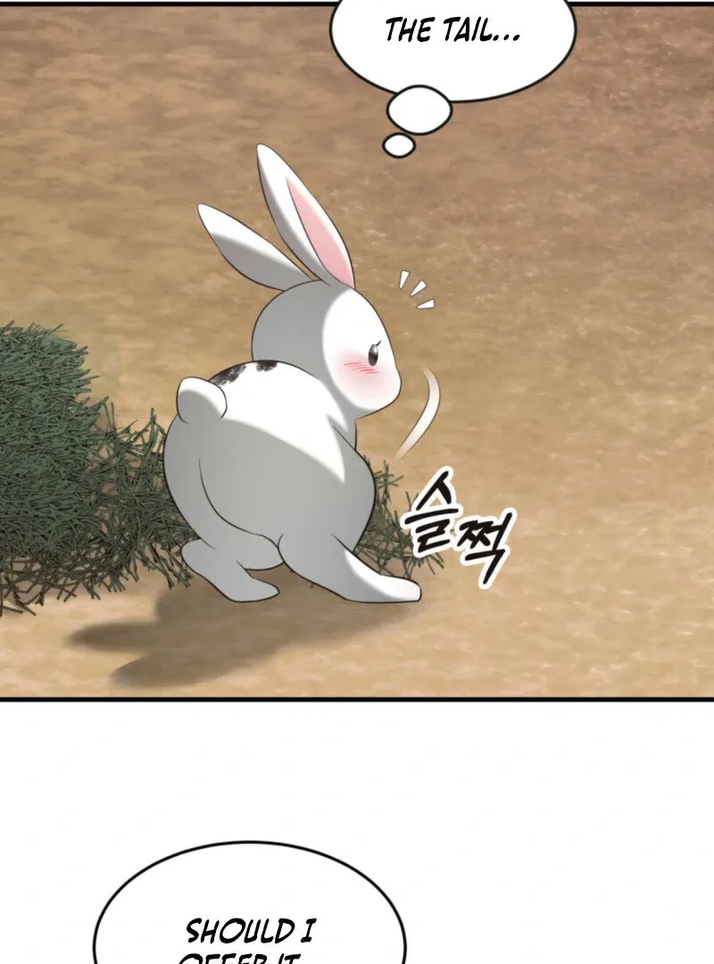 The Rabbit and The Serpent