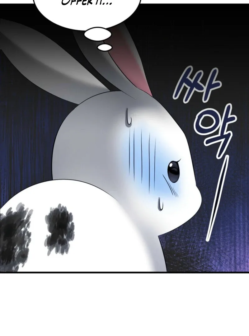 The Rabbit and The Serpent