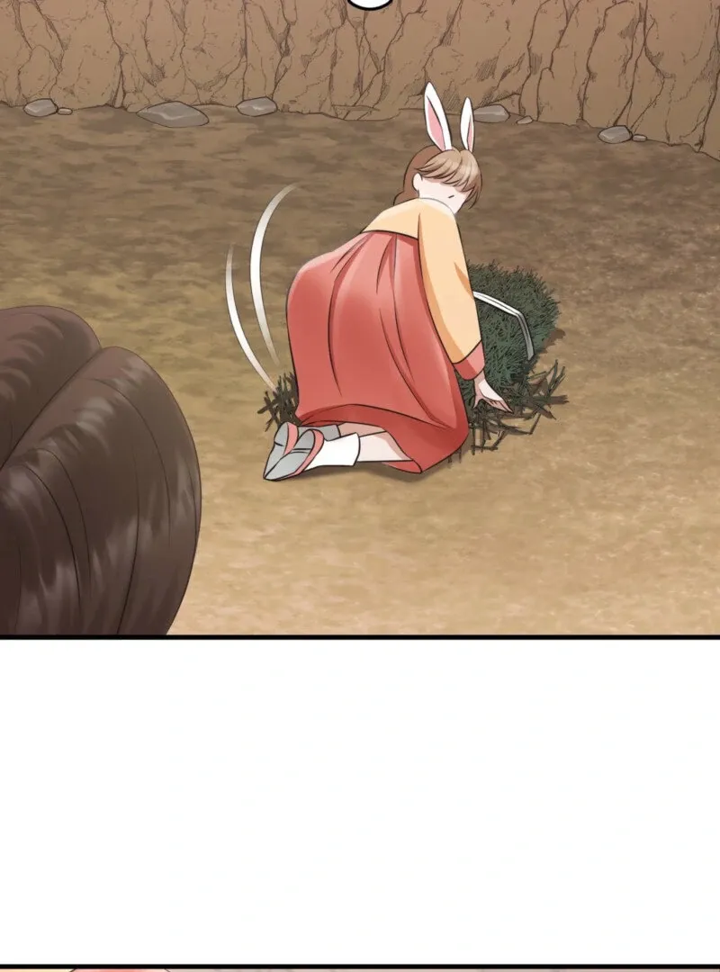 The Rabbit and The Serpent