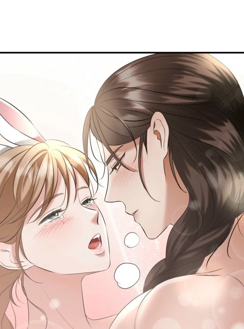 The Rabbit and The Serpent