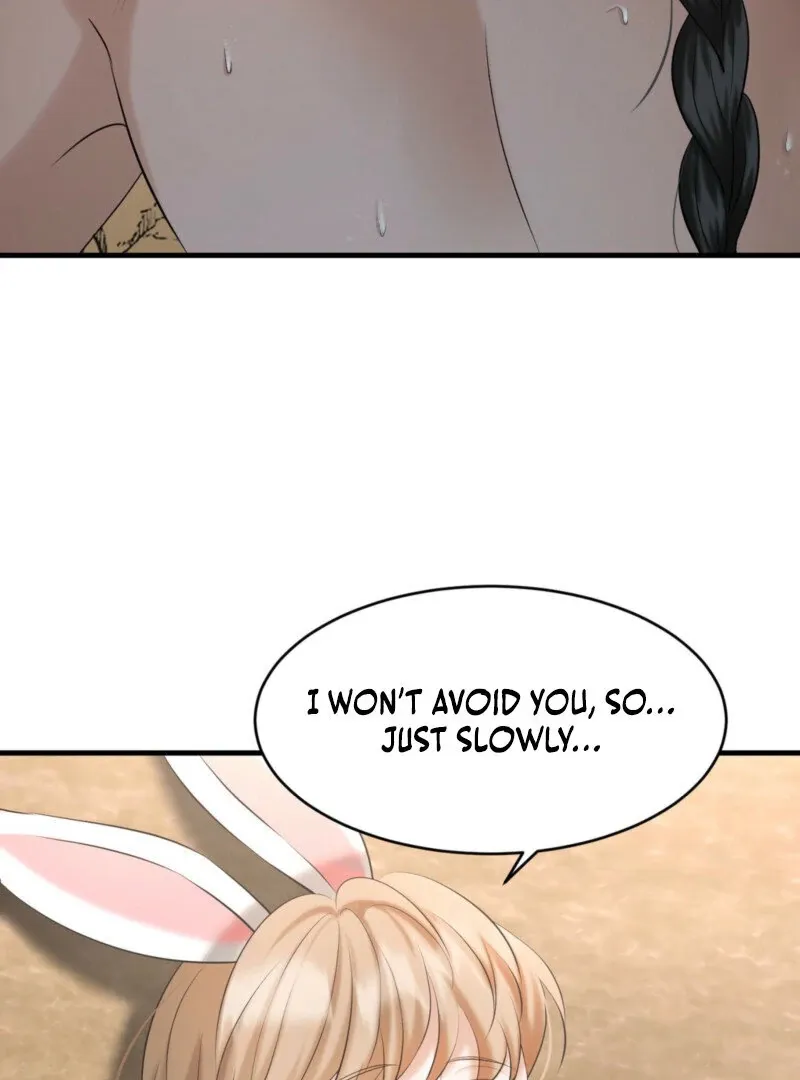 The Rabbit and The Serpent