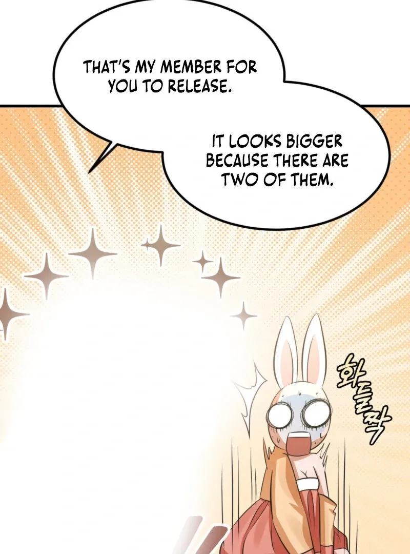 The Rabbit and The Serpent