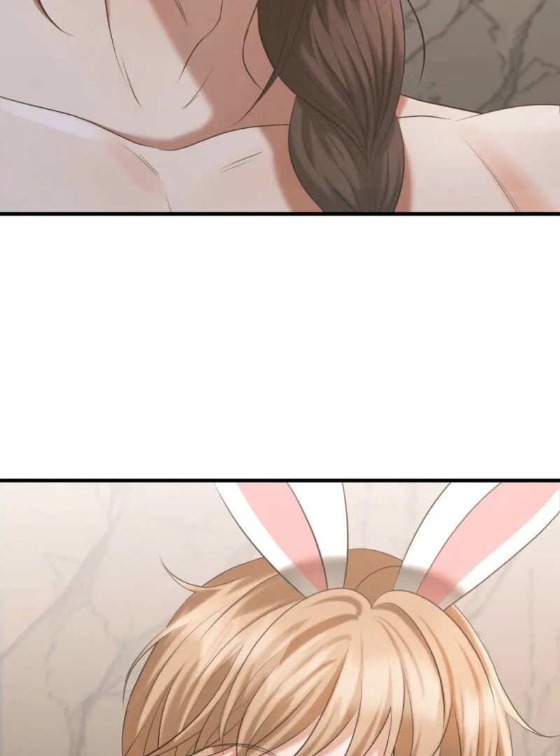 The Rabbit and The Serpent