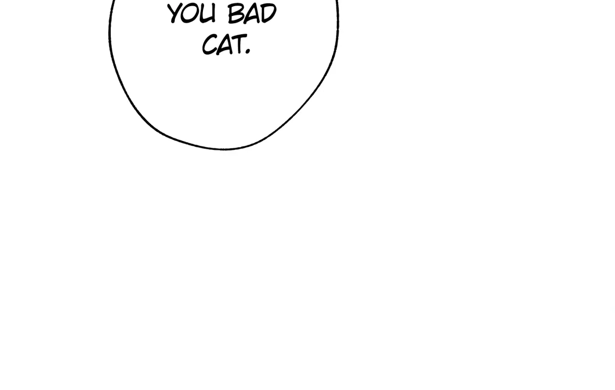 The Rabbit Trapped In Rumors Chapter 22 page 40 - 